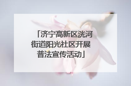 济宁高新区洸河街道阳光社区开展普法宣传活动