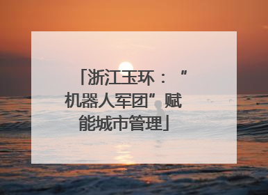 浙江玉环：“机器人军团”赋能城市管理