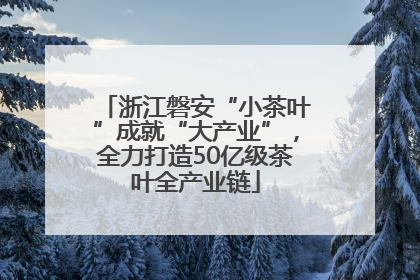 浙江磐安“小茶叶”成就“大产业”，全力打造50亿级茶叶全产业链