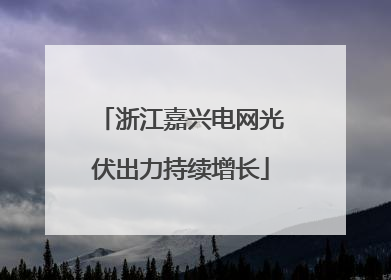 浙江嘉兴电网光伏出力持续增长