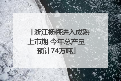 浙江杨梅进入成熟上市期 今年总产量预计74万吨