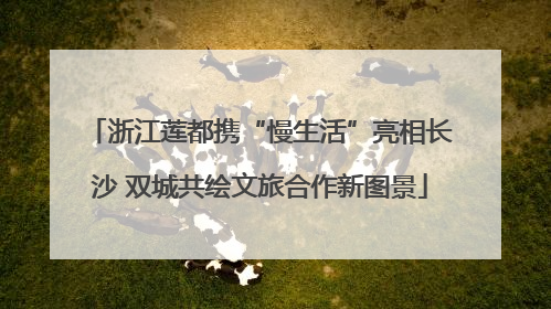 浙江莲都携“慢生活”亮相长沙 双城共绘文旅合作新图景