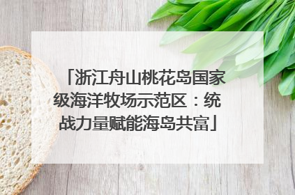 浙江舟山桃花岛国家级海洋牧场示范区：统战力量赋能海岛共富