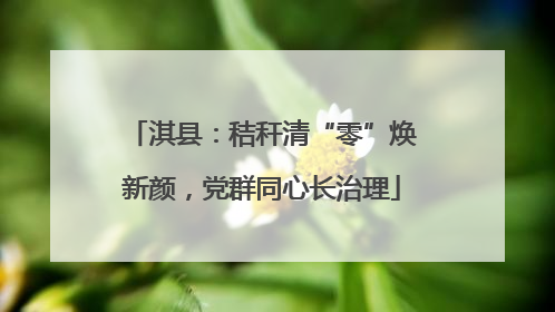 淇县：秸秆清“零”焕新颜，党群同心长治理