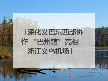 深化义巴东西部协作 “巴州馆”亮相浙江义乌机场