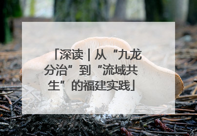 深读｜从“九龙分治”到“流域共生”的福建实践