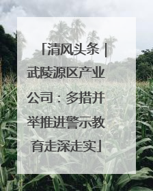 清风头条｜武陵源区产业公司：多措并举推进警示教育走深走实
