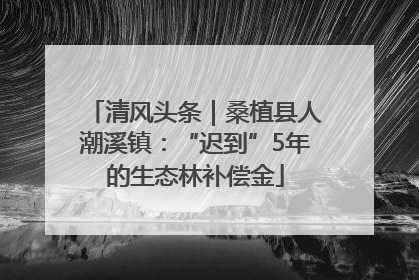 清风头条｜桑植县人潮溪镇：“迟到”5年的生态林补偿金