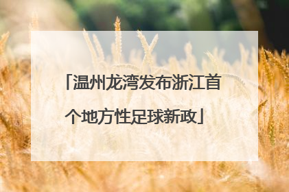 温州龙湾发布浙江首个地方性足球新政