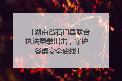 湖南省石门县联合执法重拳出击，守护餐桌安全底线