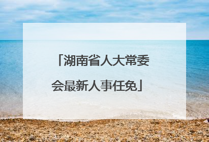 湖南省人大常委会最新人事任免