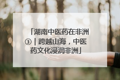 湖南中医药在非洲③｜跨越山海，中医药文化浸润非洲
