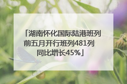 湖南怀化国际陆港班列前五月开行班列481列 同比增长45%