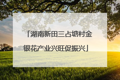 湖南新田三占塘村金银花产业兴旺促振兴
