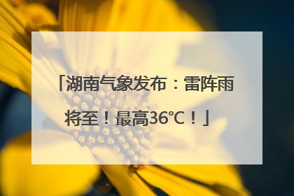 湖南气象发布：雷阵雨将至！最高36℃！