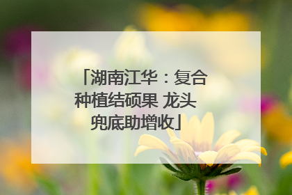 湖南江华：复合种植结硕果 龙头兜底助增收