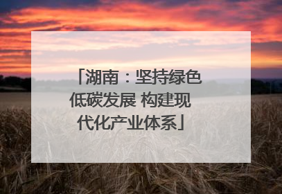 湖南：坚持绿色低碳发展 构建现代化产业体系