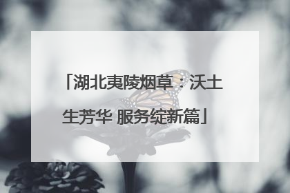 湖北夷陵烟草：沃土生芳华 服务绽新篇