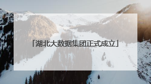 湖北大数据集团正式成立