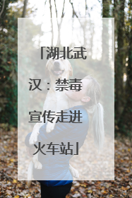 湖北武汉：禁毒宣传走进火车站