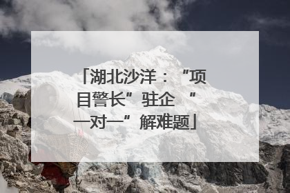 湖北沙洋：“项目警长”驻企 “一对一”解难题