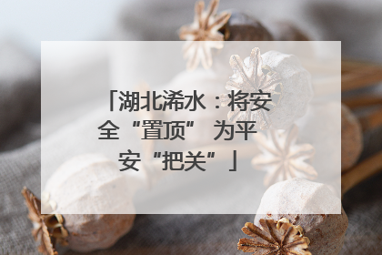 湖北浠水：将安全“置顶” 为平安“把关”