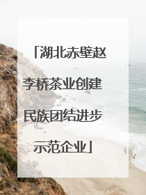 湖北赤壁赵李桥茶业创建民族团结进步示范企业
