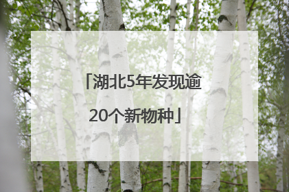 湖北5年发现逾20个新物种