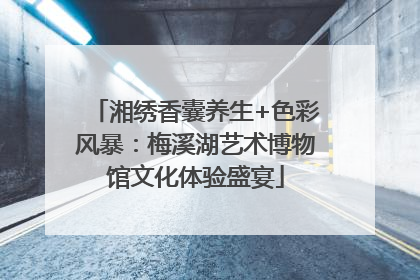 湘绣香囊养生+色彩风暴：梅溪湖艺术博物馆文化体验盛宴