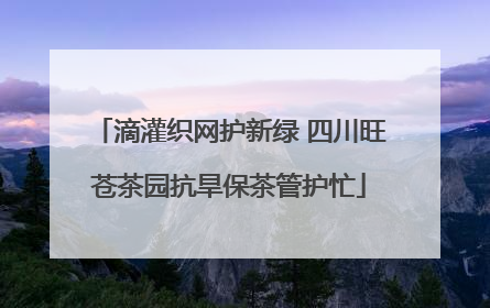 滴灌织网护新绿 四川旺苍茶园抗旱保茶管护忙