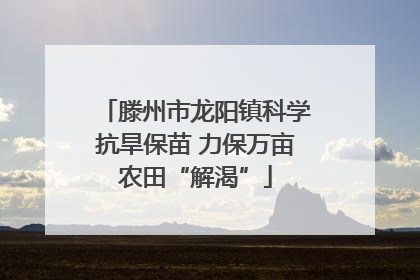 滕州市龙阳镇科学抗旱保苗 力保万亩农田“解渴”