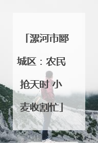 漯河市郾城区：农民抢天时 小麦收割忙
