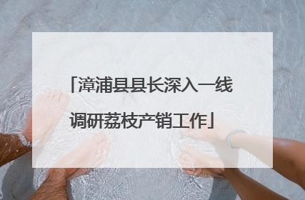 漳浦县县长深入一线调研荔枝产销工作