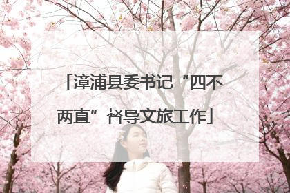 漳浦县委书记“四不两直”督导文旅工作