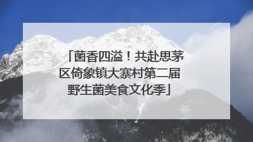 菌香四溢！共赴思茅区倚象镇大寨村第二届野生菌美食文化季