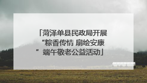 菏泽单县民政局开展“粽香传情 扇绘安康”端午敬老公益活动