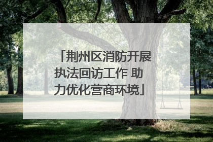 荆州区消防开展执法回访工作 助力优化营商环境