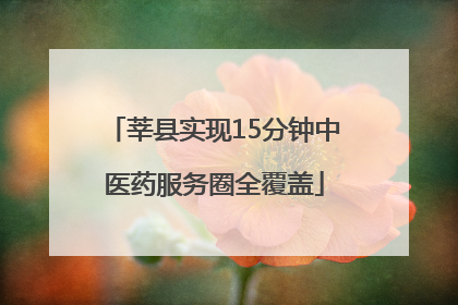 莘县实现15分钟中医药服务圈全覆盖