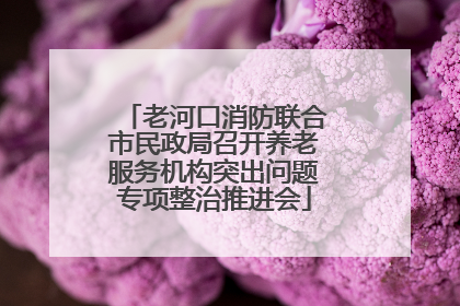老河口消防联合市民政局召开养老服务机构突出问题专项整治推进会