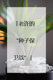 老许的“种子保卫战”