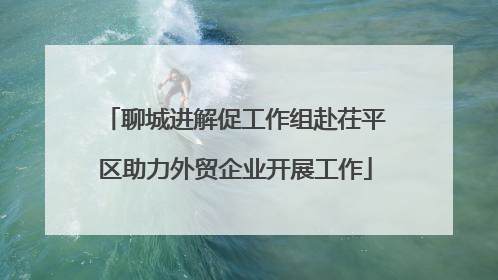 聊城进解促工作组赴茌平区助力外贸企业开展工作
