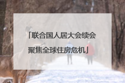 联合国人居大会续会聚焦全球住房危机