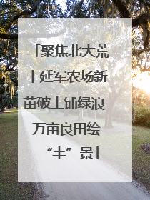 聚焦北大荒丨延军农场新苗破土铺绿浪 万亩良田绘“丰”景