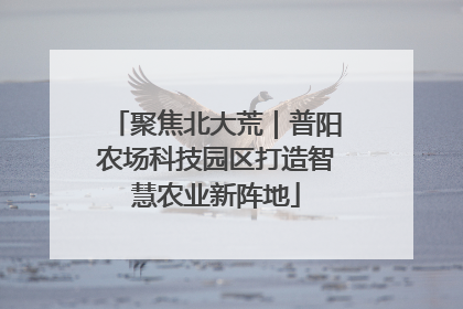 聚焦北大荒｜普阳农场科技园区打造智慧农业新阵地