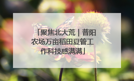 聚焦北大荒｜普阳农场万亩稻田夏管工作科技感满满