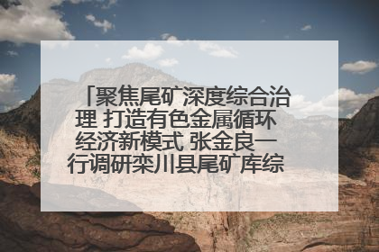 聚焦尾矿深度综合治理 打造有色金属循环经济新模式 张金良一行调研栾川县尾矿库综合治理工作