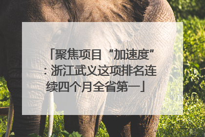聚焦项目“加速度”：浙江武义这项排名连续四个月全省第一