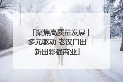 聚焦高质量发展丨多元驱动 老汉口出新出彩强商业