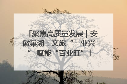 聚焦高质量发展｜安徽巢湖：文旅“一业兴” 赋能“百业旺”
