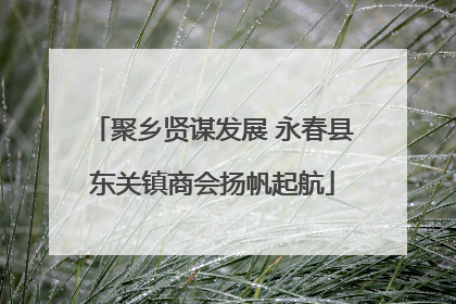 聚乡贤谋发展 永春县东关镇商会扬帆起航